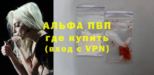 индика Арсеньев