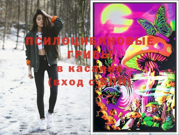 твердый Армянск