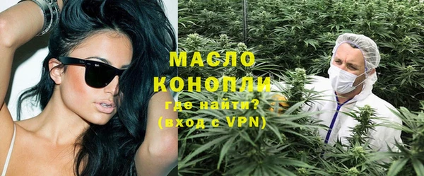 индика Арсеньев
