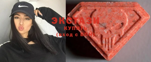 индика Арсеньев
