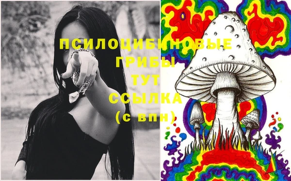 индика Арсеньев