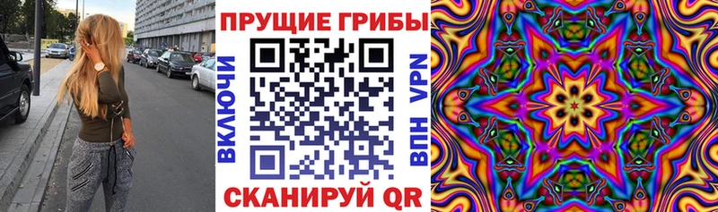 наркошоп  Туринск  Галлюциногенные грибы Magic Shrooms 